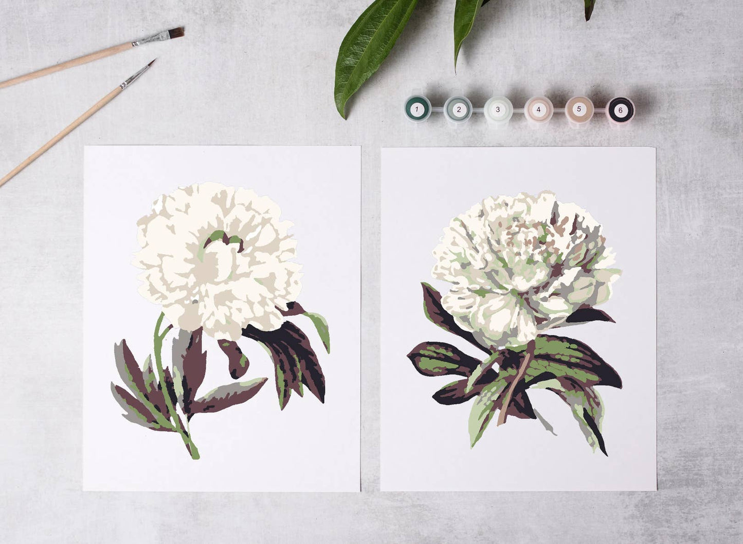 Peony Blossoms Paint-By-Numbers kit